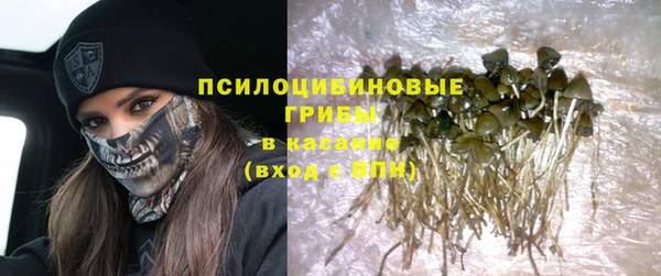spice Верхний Тагил